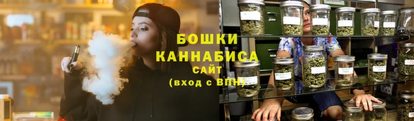 индика Нефтегорск