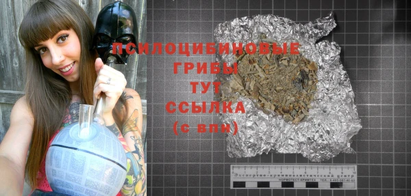 индика Нефтегорск