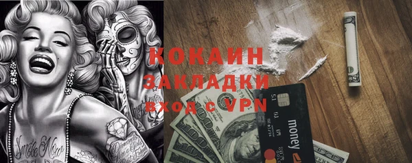 индика Нефтегорск