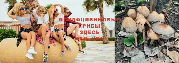 винт Новодвинск