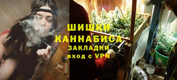 индика Нефтегорск