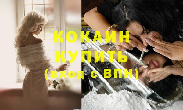 индика Нефтегорск