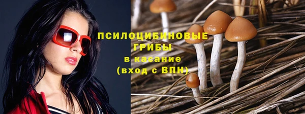 прущая мука Нефтекумск