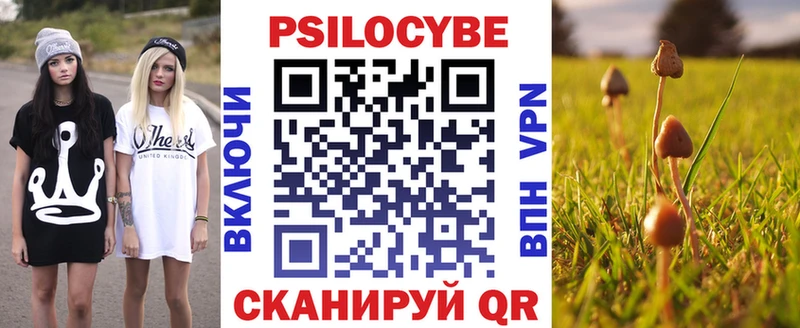 где можно купить наркотик Партизанск Псилоцибиновые грибы Magic Shrooms