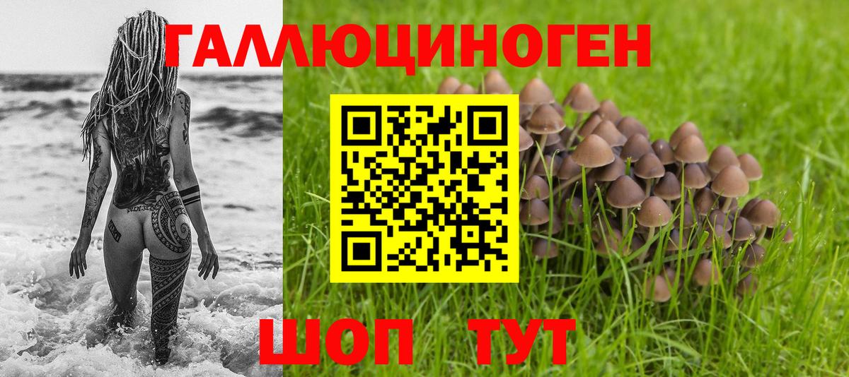 Псилоцибиновые грибы GOLDEN TEACHER  Вход с VPN  Партизанск 